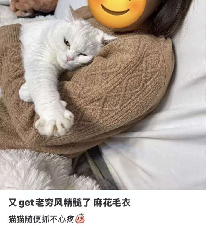 图源：momo