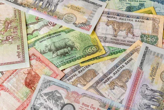 尼泊尔卢比纸币 资料图（视觉中国）