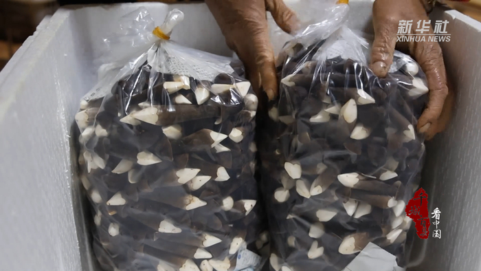 3399小游戏小游戏大全