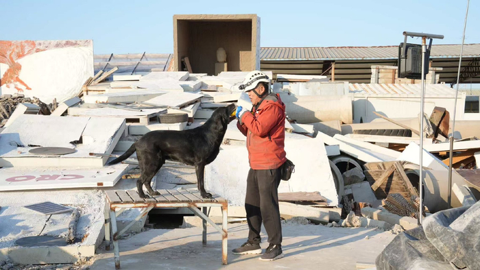 2025年11月18日下午，北京顺义区木林镇大韩庄村，钟鸣和搜救犬子歇在CRO应急搜救犬训练中心。受访者供图