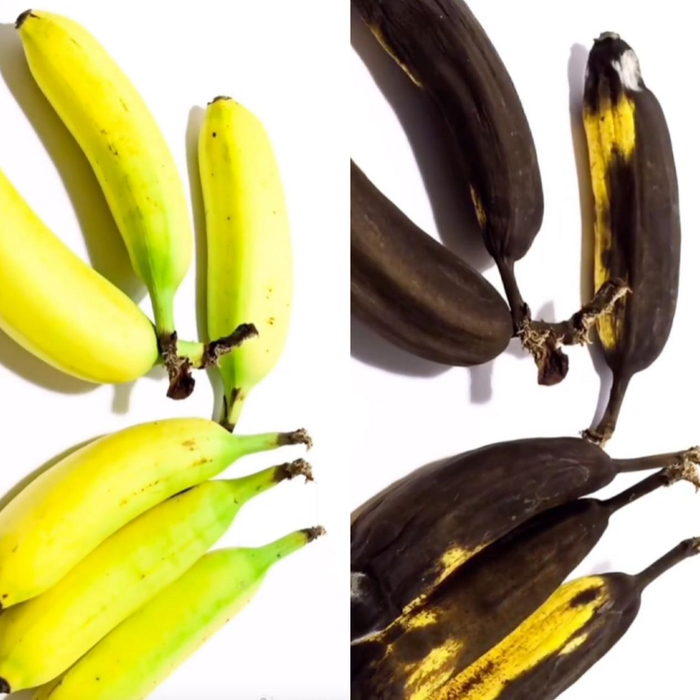 代号真实15的照片原型为几根香蕉，左图和右图均为真实照片，73位受访者中有62人认为此图为AI生成。