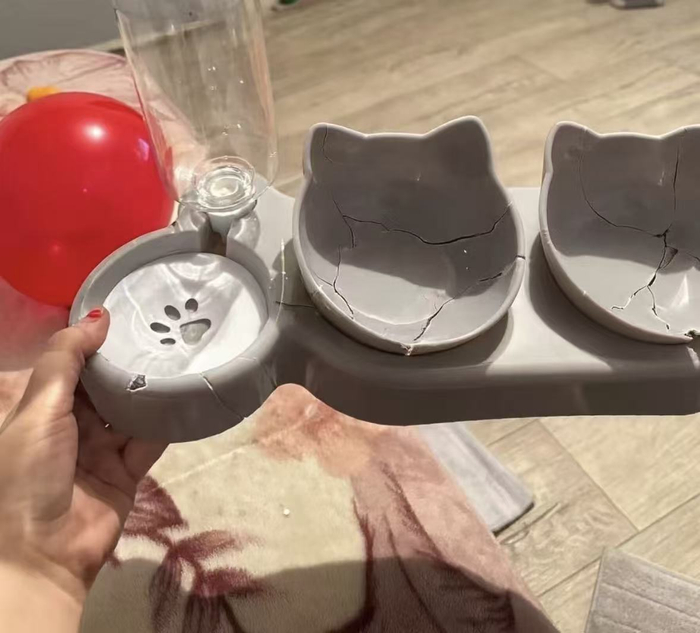 商家认为这一宠物碗的“破损”疑似AI生成。受访者供图
