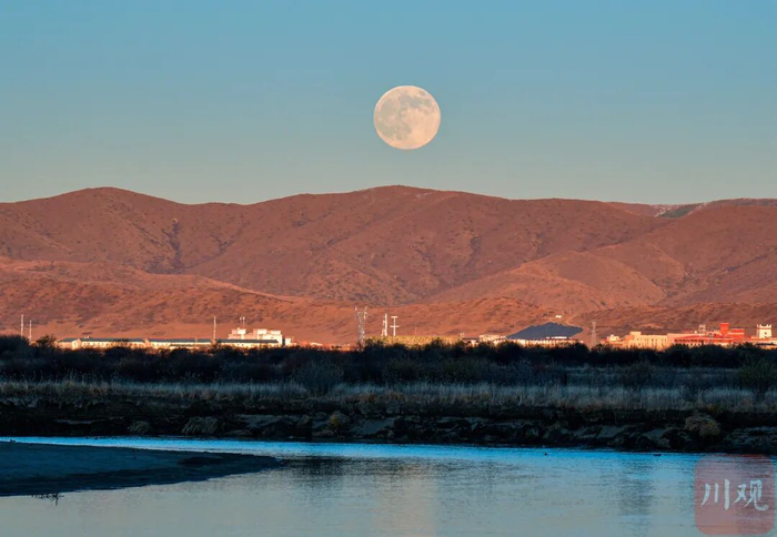 11月5日傍晚，2025年度最大的“超级月亮”现身阿坝州红原县。川观新闻记者 何海洋 摄