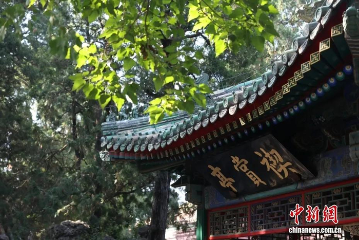 资料图：故宫“乾隆花园”景色，图为禊赏亭。中新社记者 蒋启明 摄