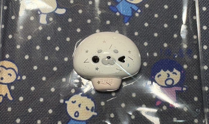 *小鱼供图