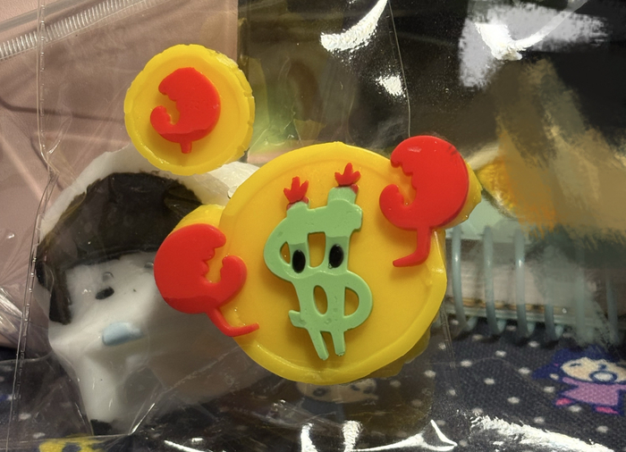 *小鱼供图