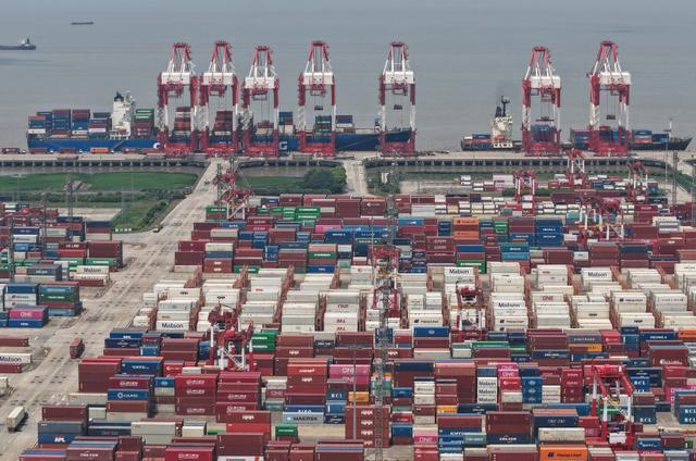 2025年10月24日，上海港集装箱码头车来船往，作业繁忙。视觉中国 图