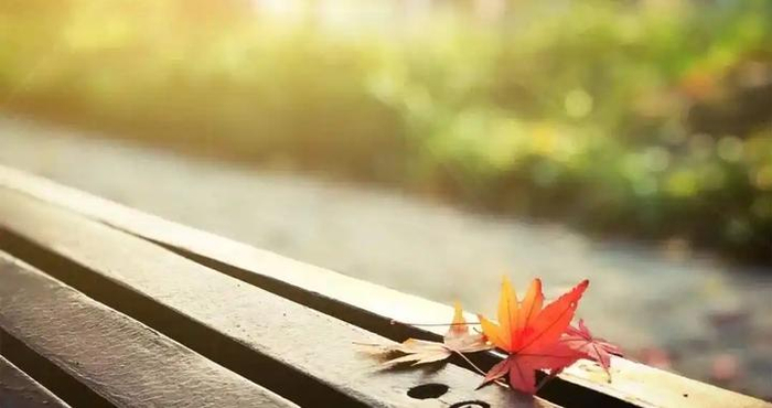 30岁以后我才明白：世界上最好的心理老师，其实就是有钱的自己