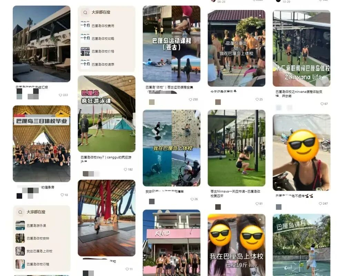 搜索“巴厘岛体校”，能看到各种各样的经验帖。（图/网页截图）