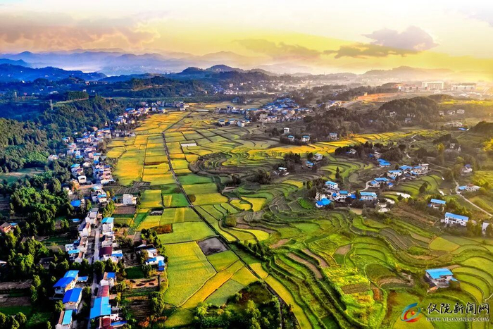 图源：仪陇新闻网