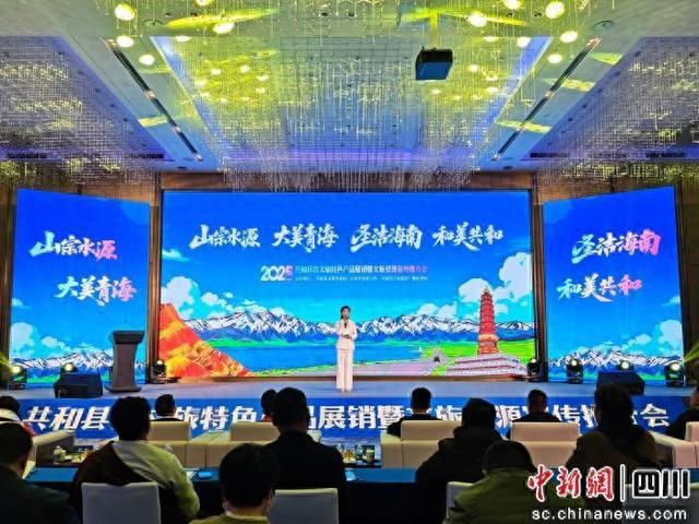 成都推介会现场。肖茹月 摄