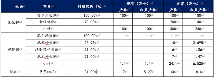图：藏格矿业现有矿产资源