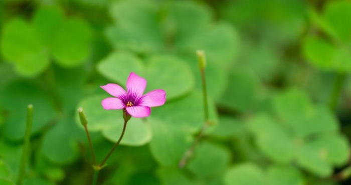 女人，真心实意想和你过一辈子的迹象：一个行为