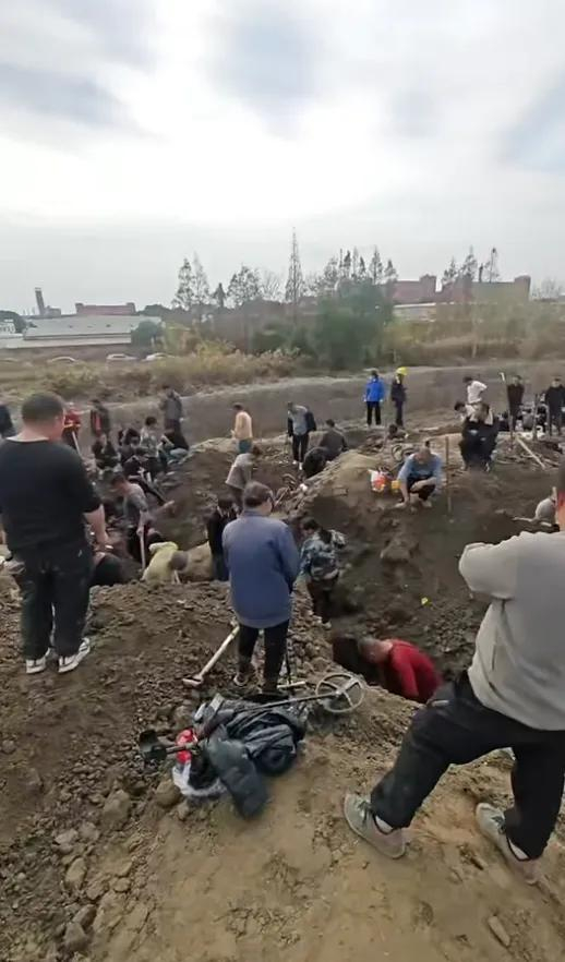 网友在社交平台上发文称松江区车墩镇一地有人挖出银元，吸引不少人前去挖掘。网络 图