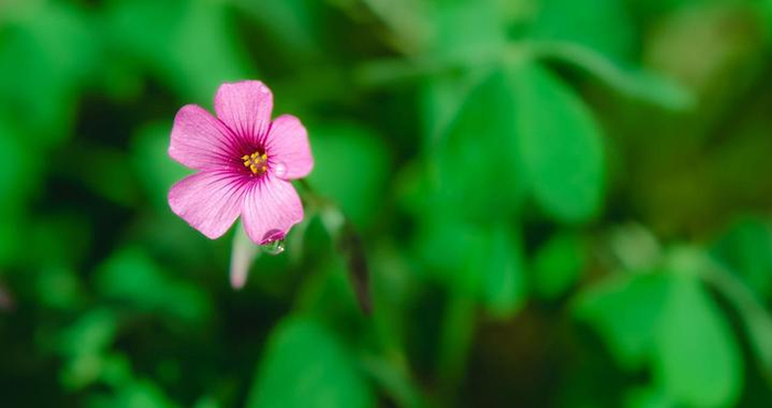 让女人越来越爱你的手段：多做以下事