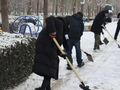 除了初雪美景，北京大兴这些身影更动人