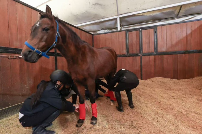 小选手们在比赛中一丝不苟。