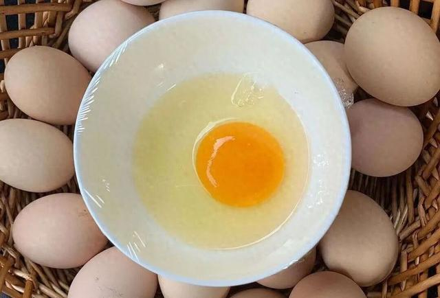 资料图 子钰摄