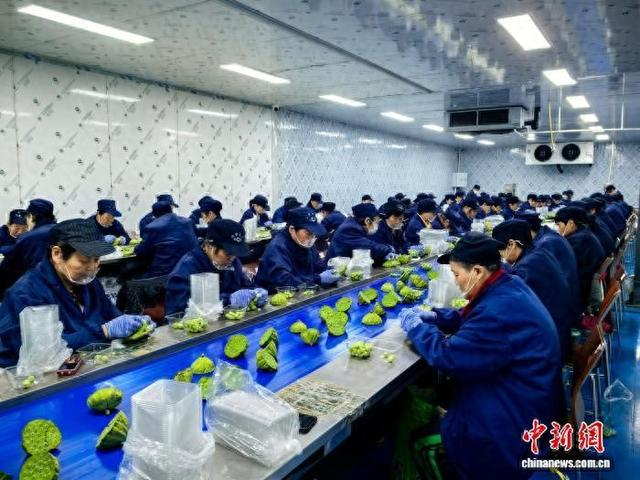 “奶奶侨助工坊”内一片忙碌景象。杭州市委统战部 供图
