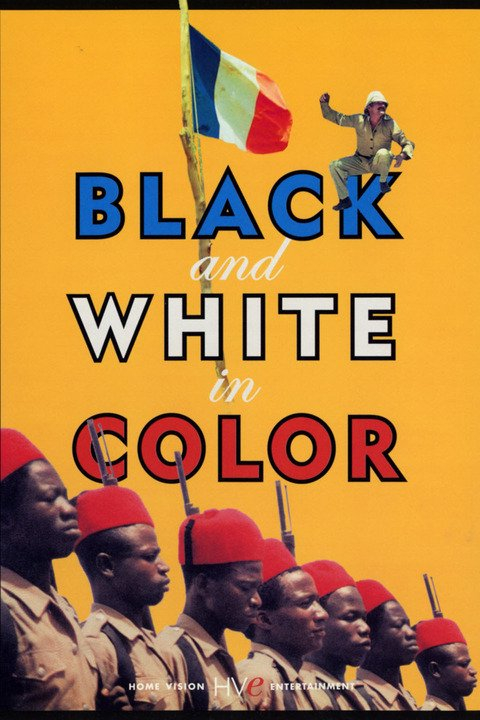 《黑人为白人作战》美国版海报