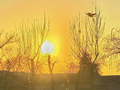 把每一天过成诗意！今天你又从北京的夕阳中悟出了什么？
