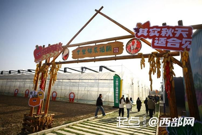 十里铺村采摘园