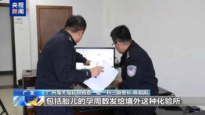 海关破获特大走私孕妇血样系列案，出境样本超10万人份，涉23个省份