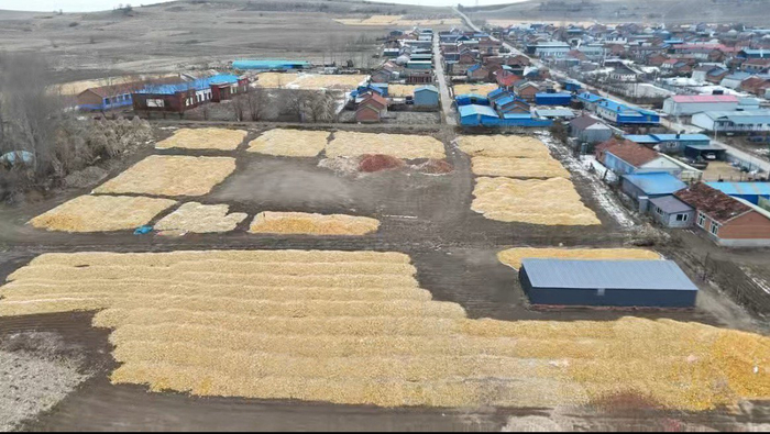 黑龙江镜泊镇村民的秋粮。受访者供图