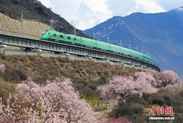 2024年3月底，行驶在拉林铁路的复兴号高原内电双源动车组列车。 周悦翔 摄