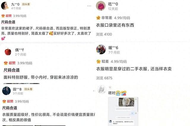 评论区消费者评价褒贬不一 网络截图