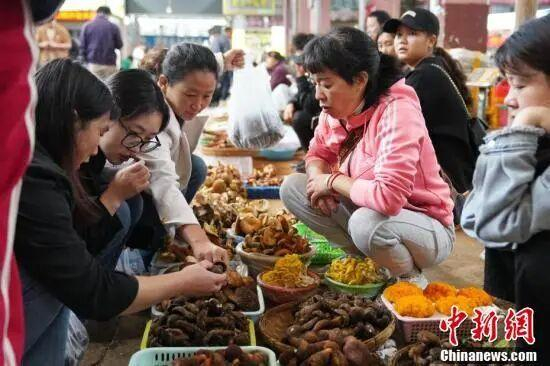 中新社记者 刘冉阳 摄