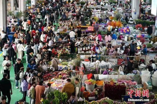 中新社记者 刘冉阳 摄