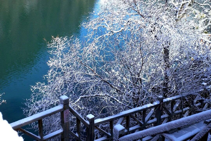 ▲图据叠溪松坪沟景区
