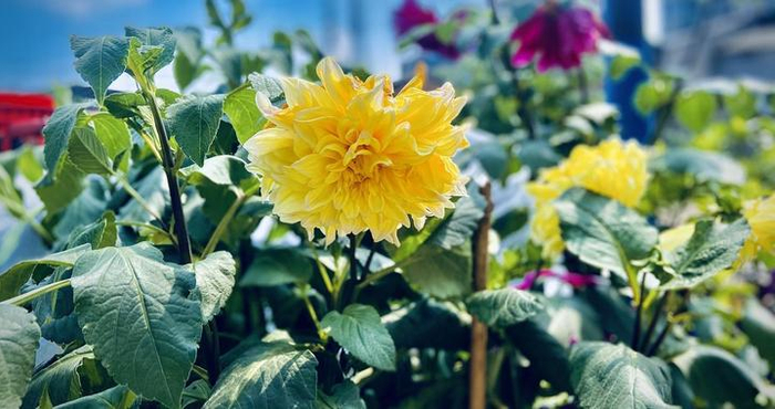 男人在以下状况下，越“老实”，说明他越是爱你入骨