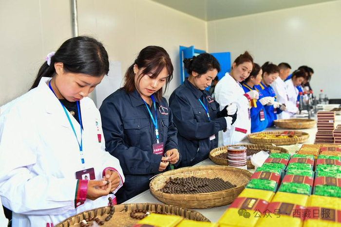 图为西藏仙露藏药有限公司的员工正在分拣包装药品。记者 丹增群培 摄