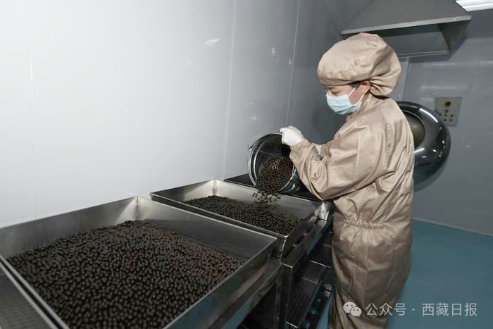 图为西藏甘露藏药股份有限公司生产线一角。记者 洛桑 唐斌 摄