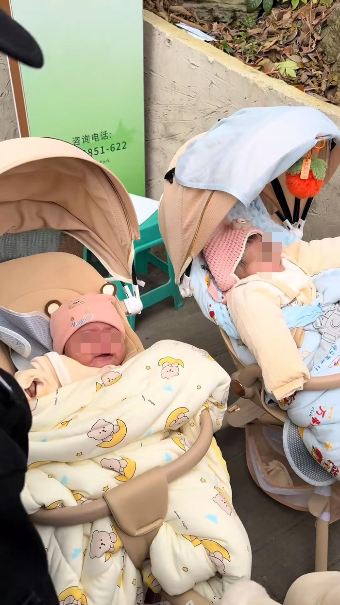 外国夫妻游黔灵山公园将双胞胎婴儿托付给保安，游客围观哄娃换尿不湿，当事保安：帮忙看管了一个多小时