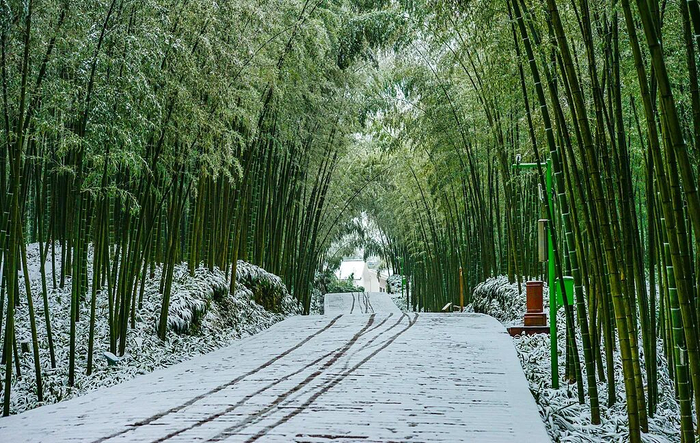 ▲图据视觉中国