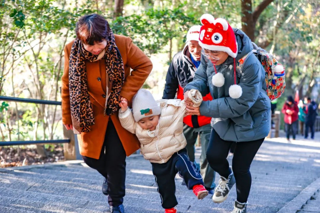 第二十届上海佘山元旦登高活动将于2026年1月1日在佘山国家森林公园东佘山园举行。 松江区供图