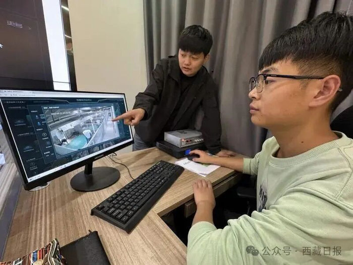 ‌图为林芝市工布江达县数字农业创新应用中心的工作人员正在使用数字监控系统观察藏香猪的生长情况。记者 白玛泽旺 次仁平措 摄