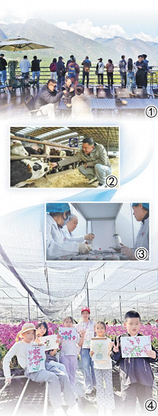 图①：云南保山市新寨村，游客在品尝咖啡。