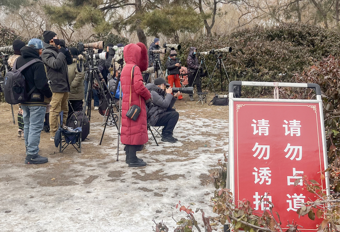 请勿诱拍提示牌
