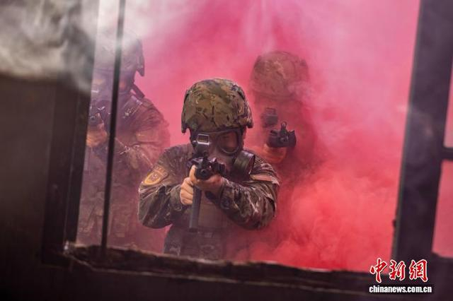 图为武警官兵在交替掩护搜索。余海洋 摄 