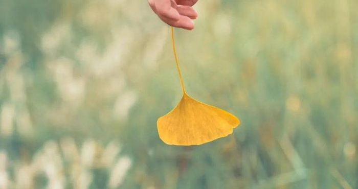 你终要知道：命运在哪里为难你，就准备在哪里托举你