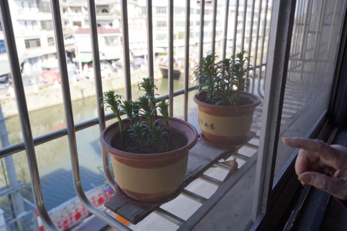 阿嬷的拼单口袋_人物_第11张_纵横网 阿嬷的拼单口袋_https://www.izongheng.net_人物_第11张