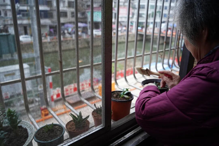 阿嬷的拼单口袋_人物_第14张_纵横网 阿嬷的拼单口袋_https://www.izongheng.net_人物_第14张