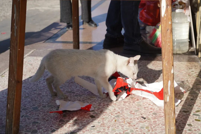 阿嬷的拼单口袋_人物_第2张_纵横网 阿嬷的拼单口袋_https://www.izongheng.net_人物_第2张