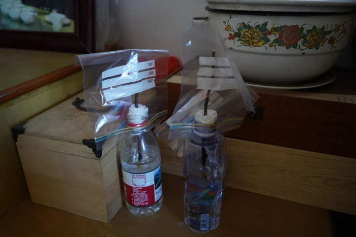 阿嬷的拼单口袋_人物_第13张_纵横网 阿嬷的拼单口袋_https://www.izongheng.net_人物_第13张