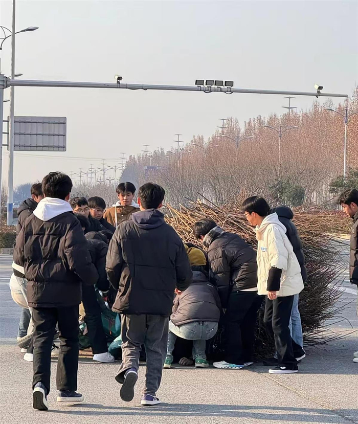 老夫妇驾驶满载树枝的三轮车侧翻，10余名赶考高中生上前扶起老人和车，网友：考试多少分不重要，社会这门课满分