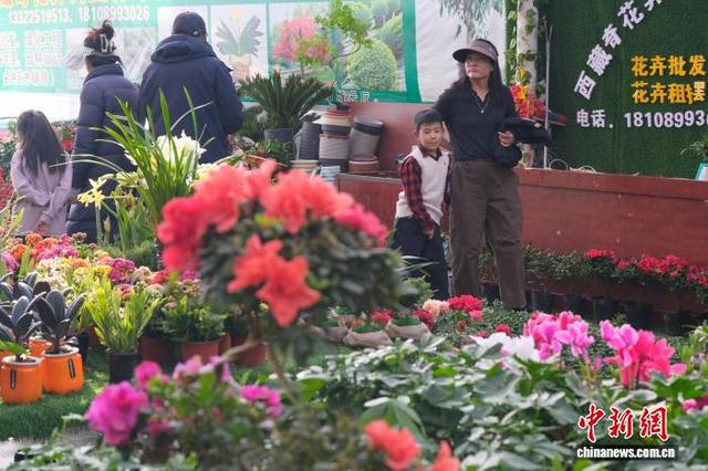 12月28日下午，拉萨市民逛花卉市场。 中新社记者 江飞波 摄